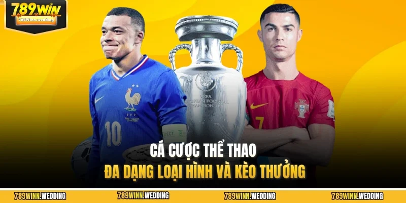 Cá cược thể thao đa dạng loại hình và kèo thưởng