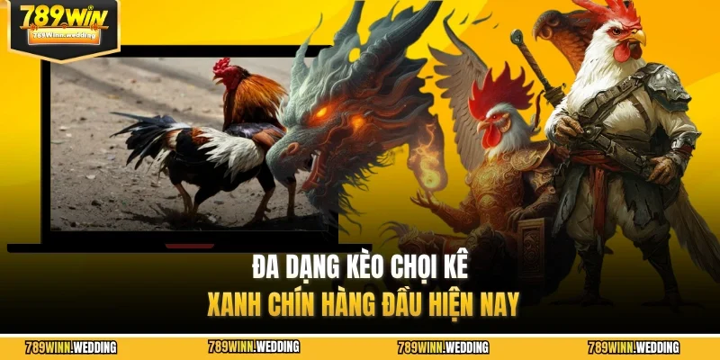 Đa dạng kèo chọi kê xanh chín hàng đầu hiện nay