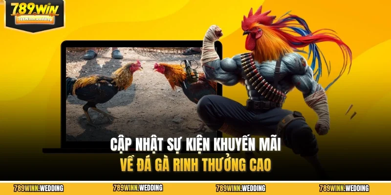 Cập nhật sự kiện khuyến mãi về đá gà rinh thưởng cao