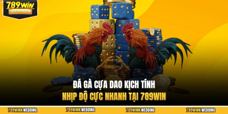 Đá gà cựa dao
