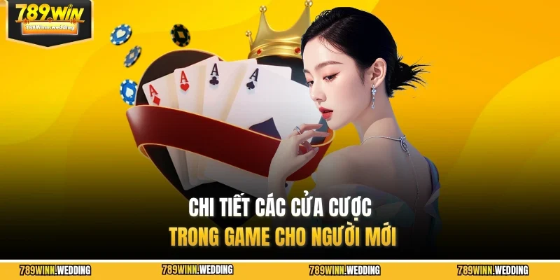Chi tiết các cửa cược trong game cho người mới