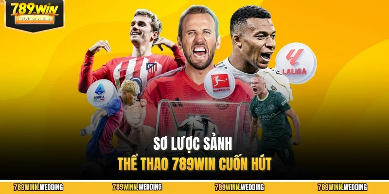 Sơ lược sảnh thể thao 789WIN cuốn hút